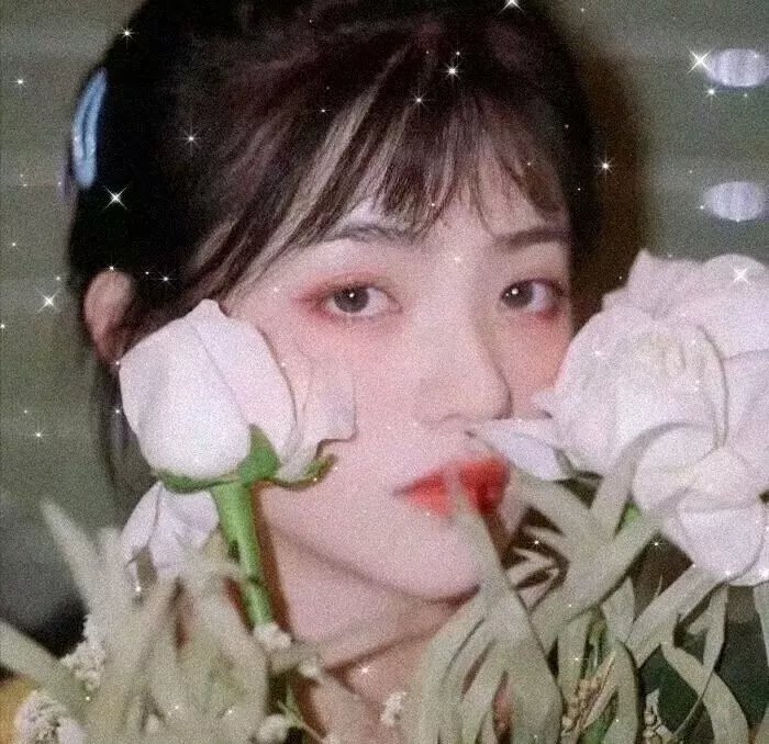 在格鲁吉亚寻到爱
