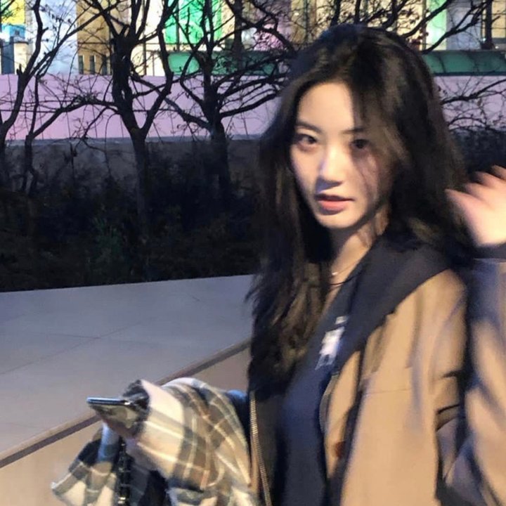 哈瓦那的吸血鬼